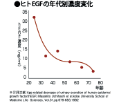 EGFの年代別濃度変化