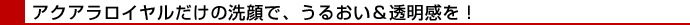 アクアロイヤルの使い方