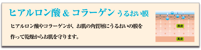 Give&Give B[iX
