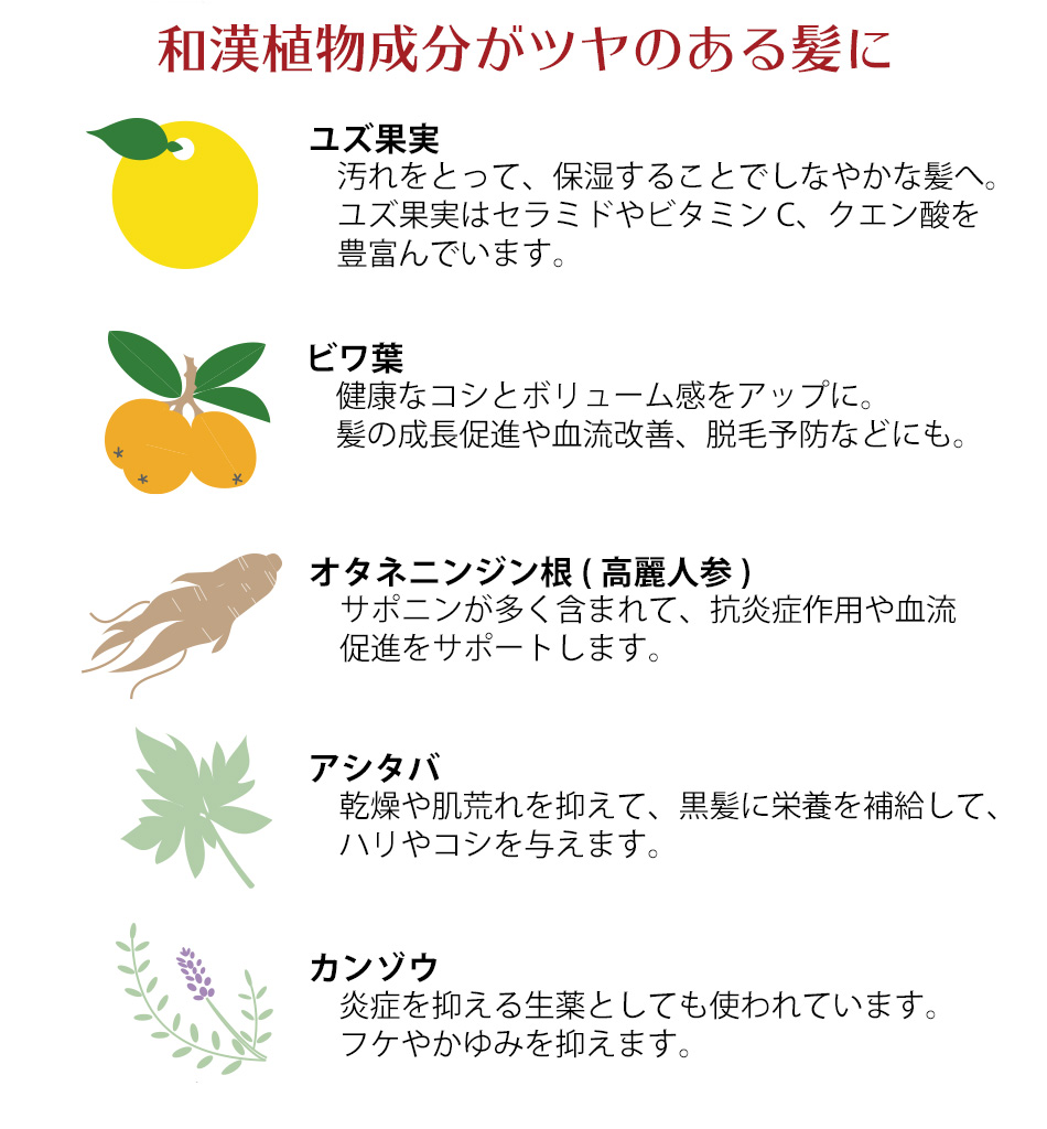 Give&Give MEDI FAMACY シャンプー